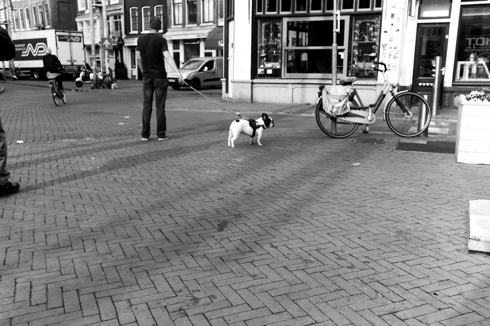City Stroll