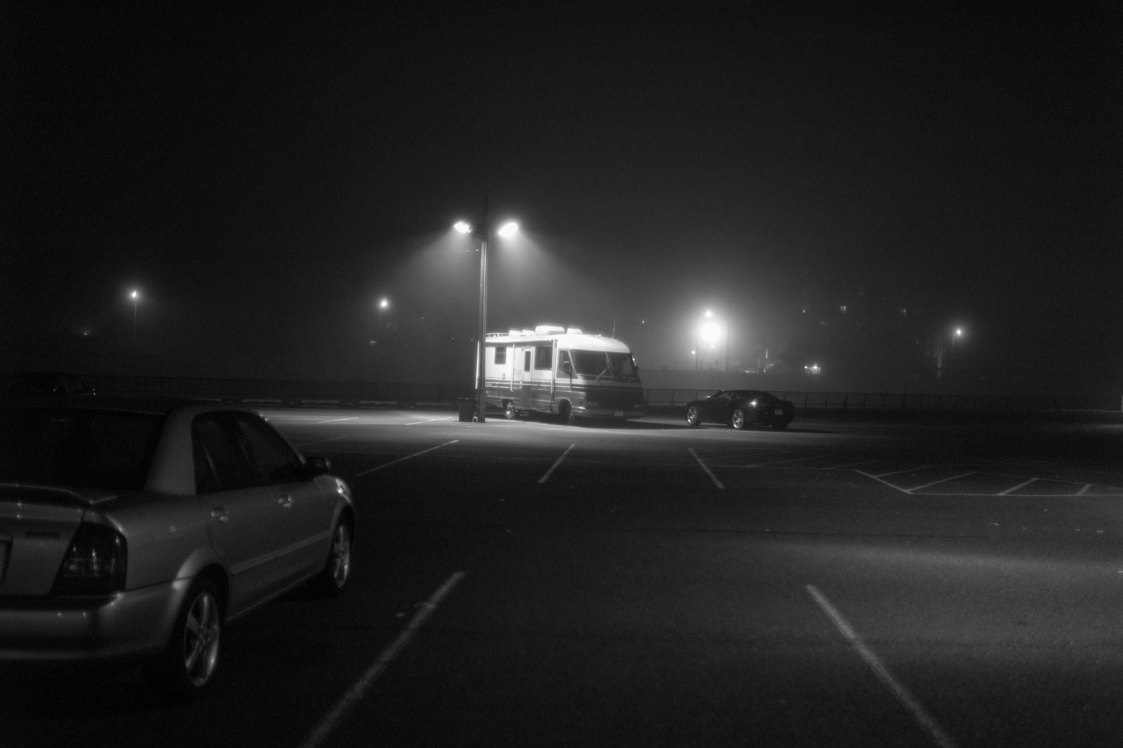 Lonely Night Oasis