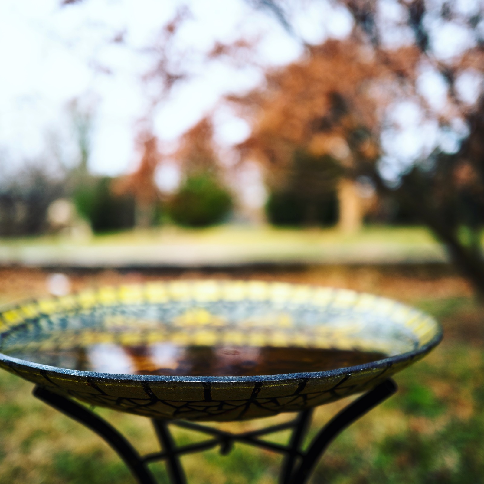 Serene Reflections