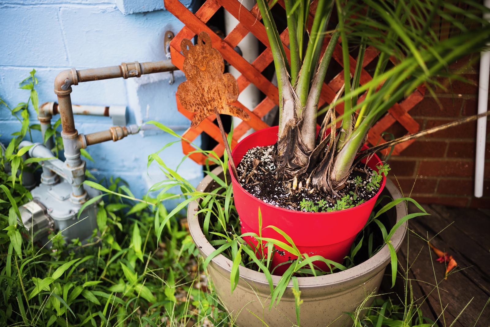 Urban Greenery