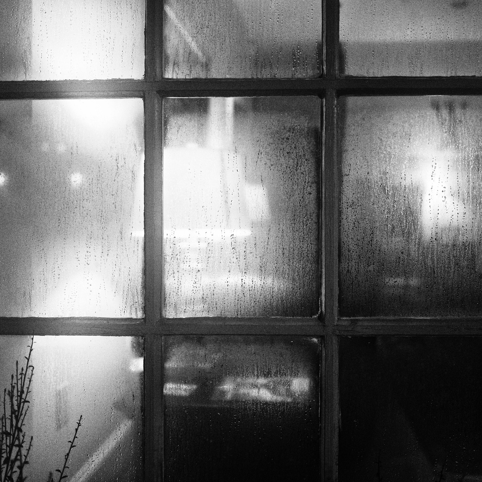 Veiled Inside