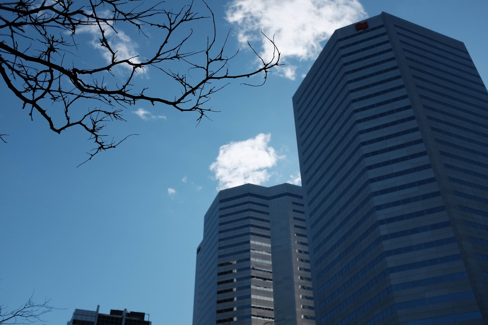 Urban Silhouette