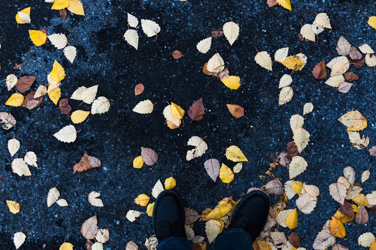 Autumn's Tapestry