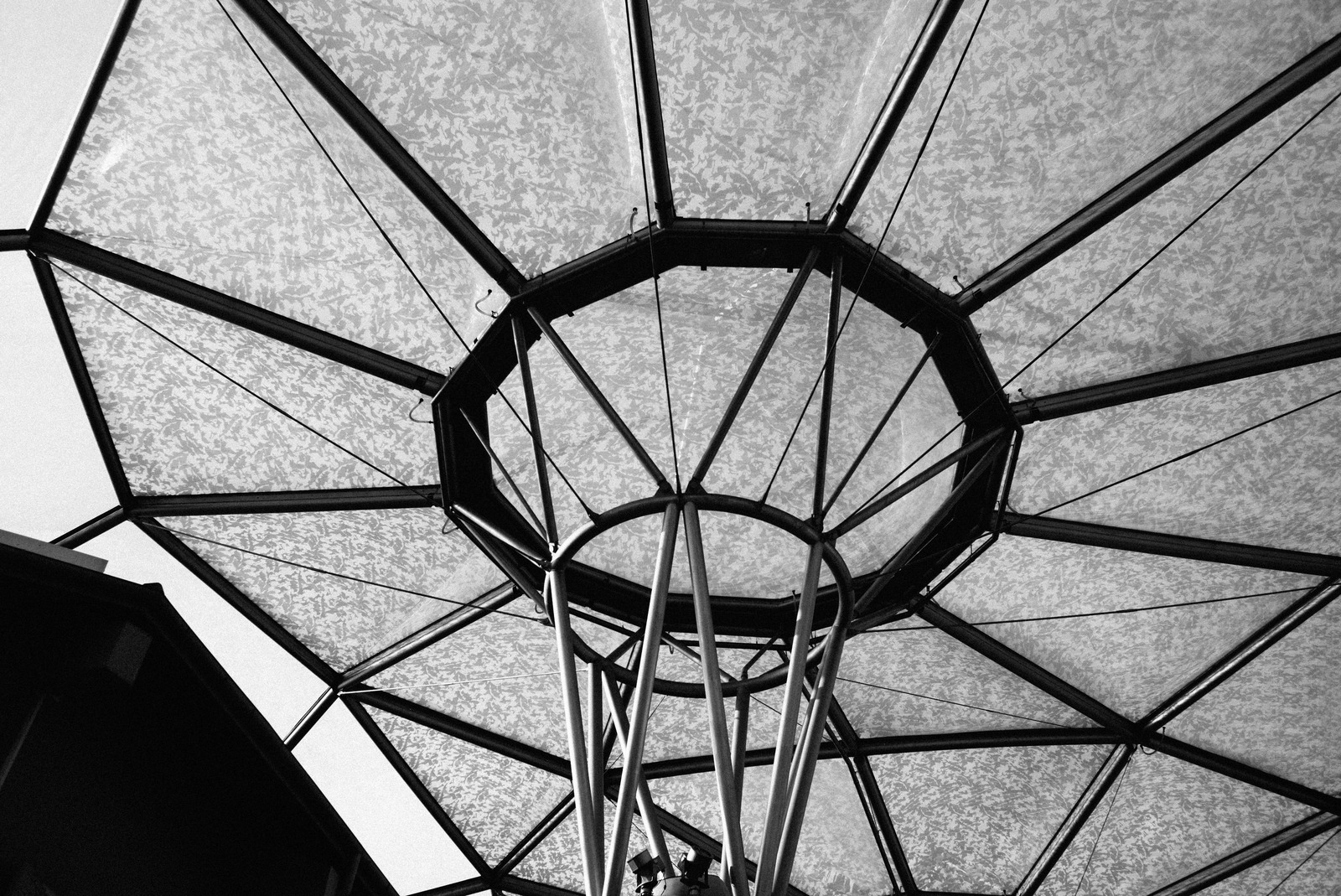 Geometric Canopy