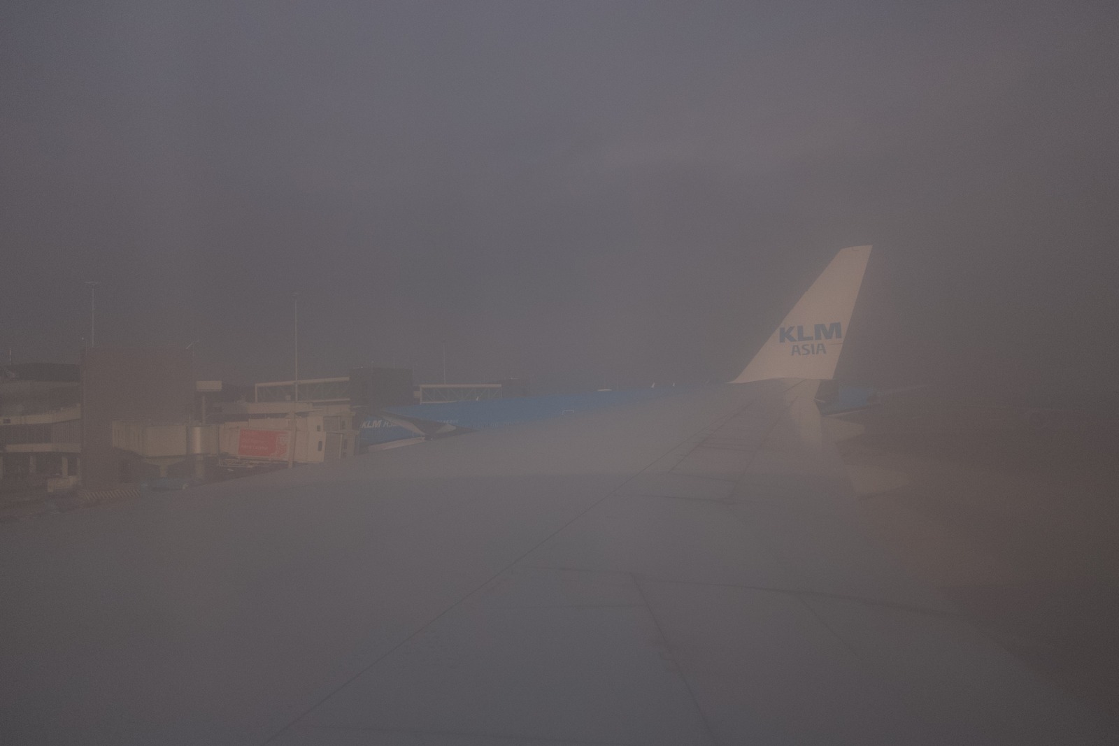 Mist and Wings