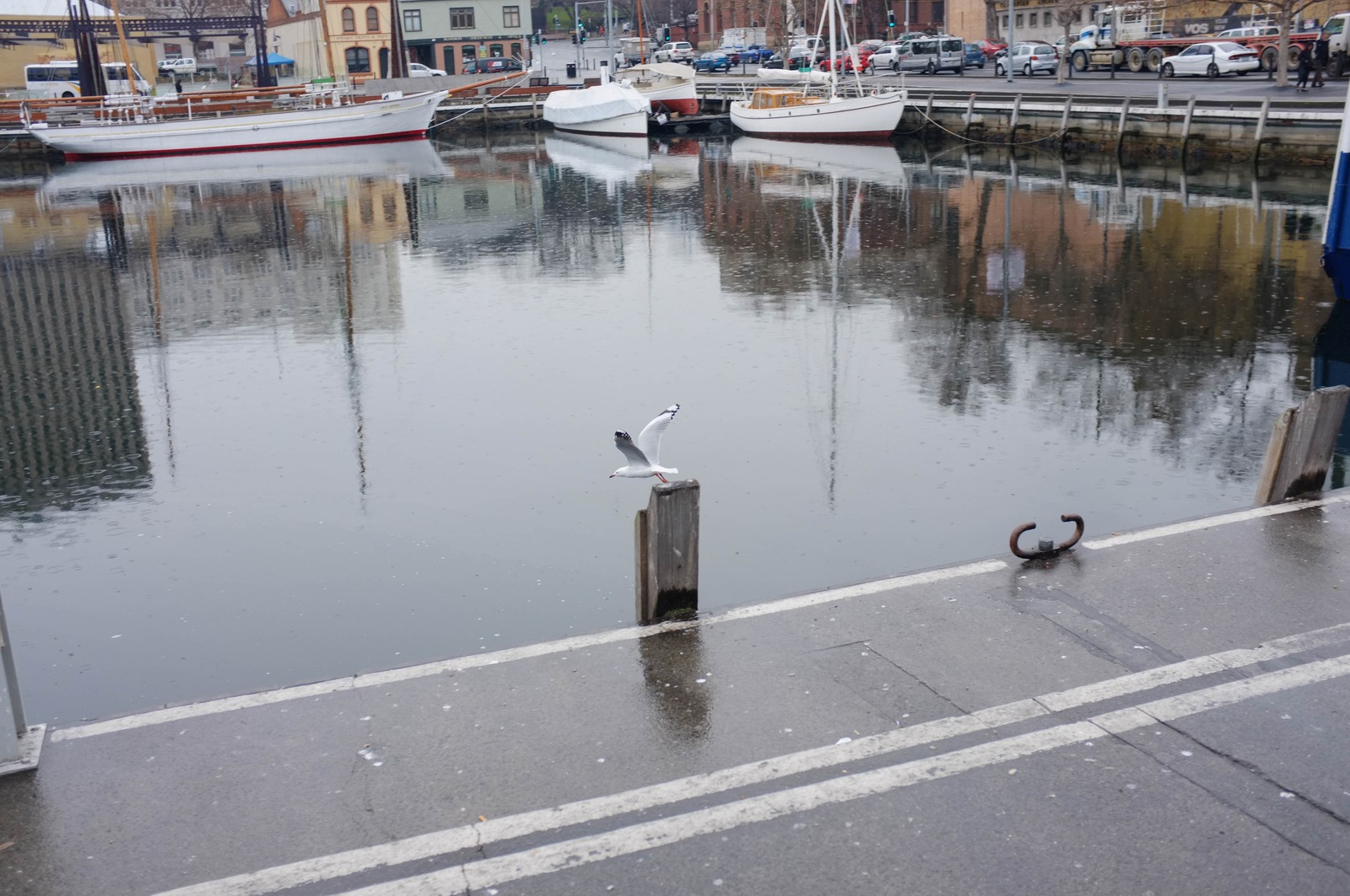 Quiet Harbour Scene