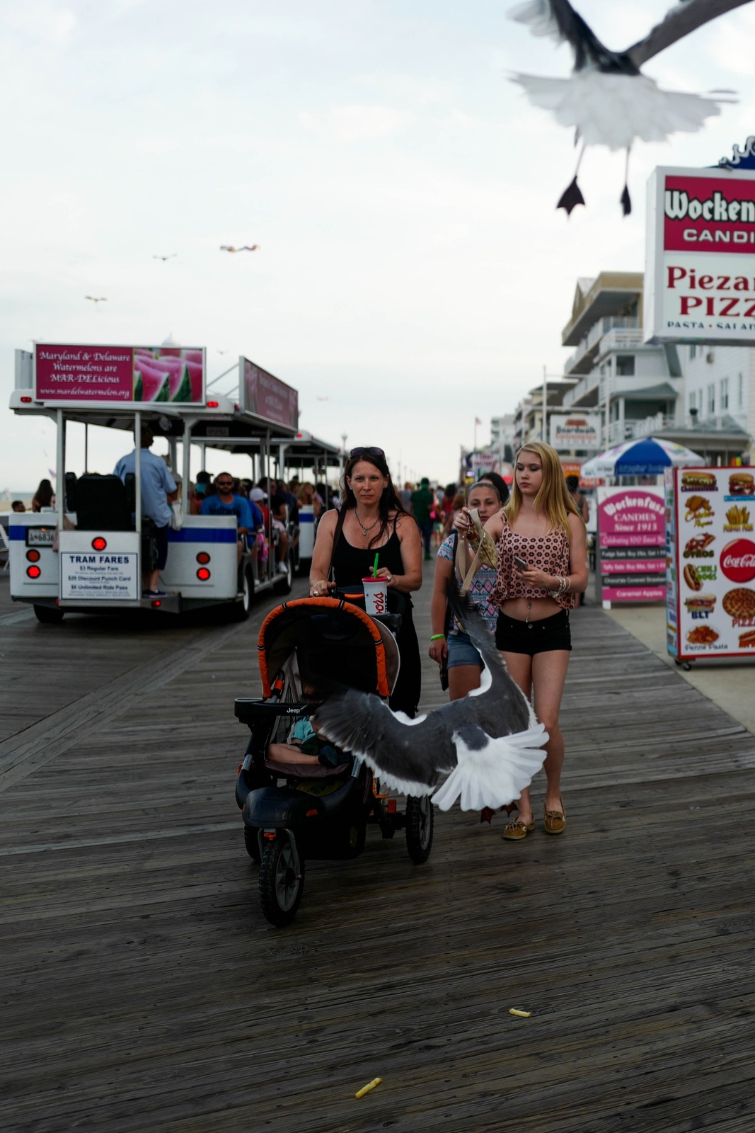 Seaside Stroll