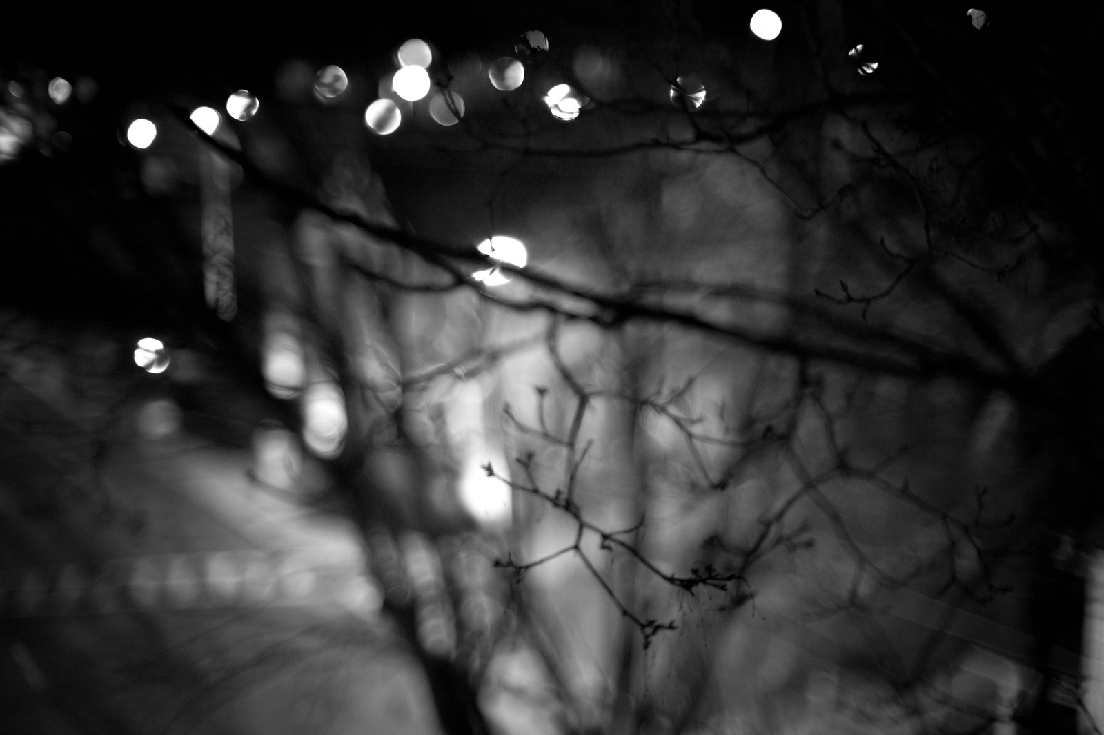 Whispers of Night