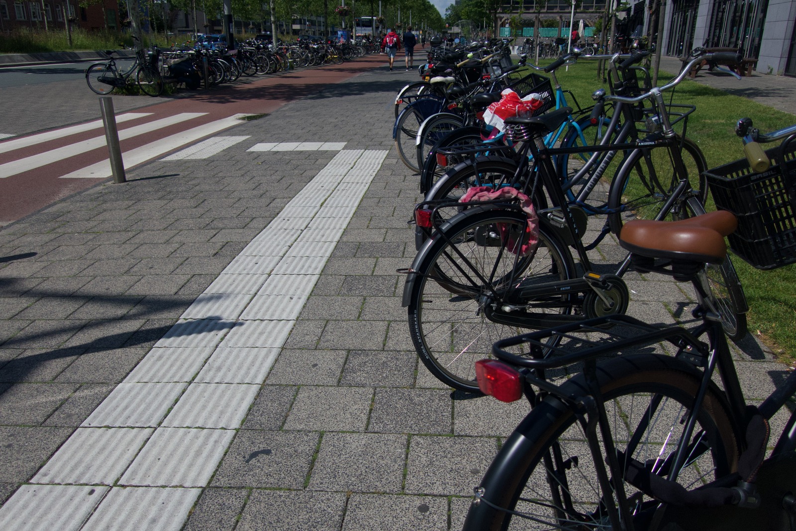 Bicycles in Harmony
