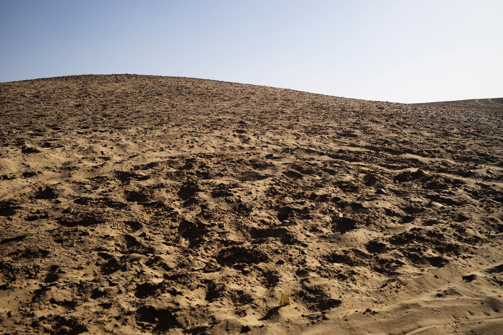 Desert Solitude