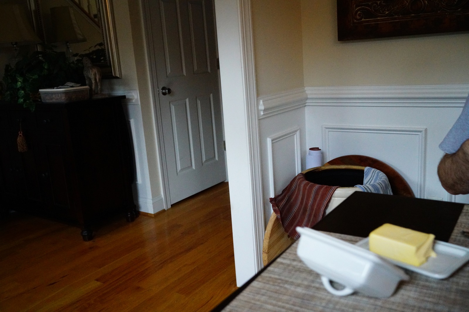 Domestic Subtlety