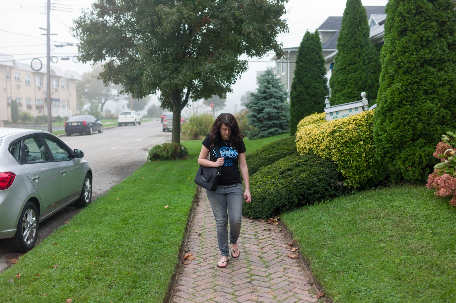 A Walk in the Fog