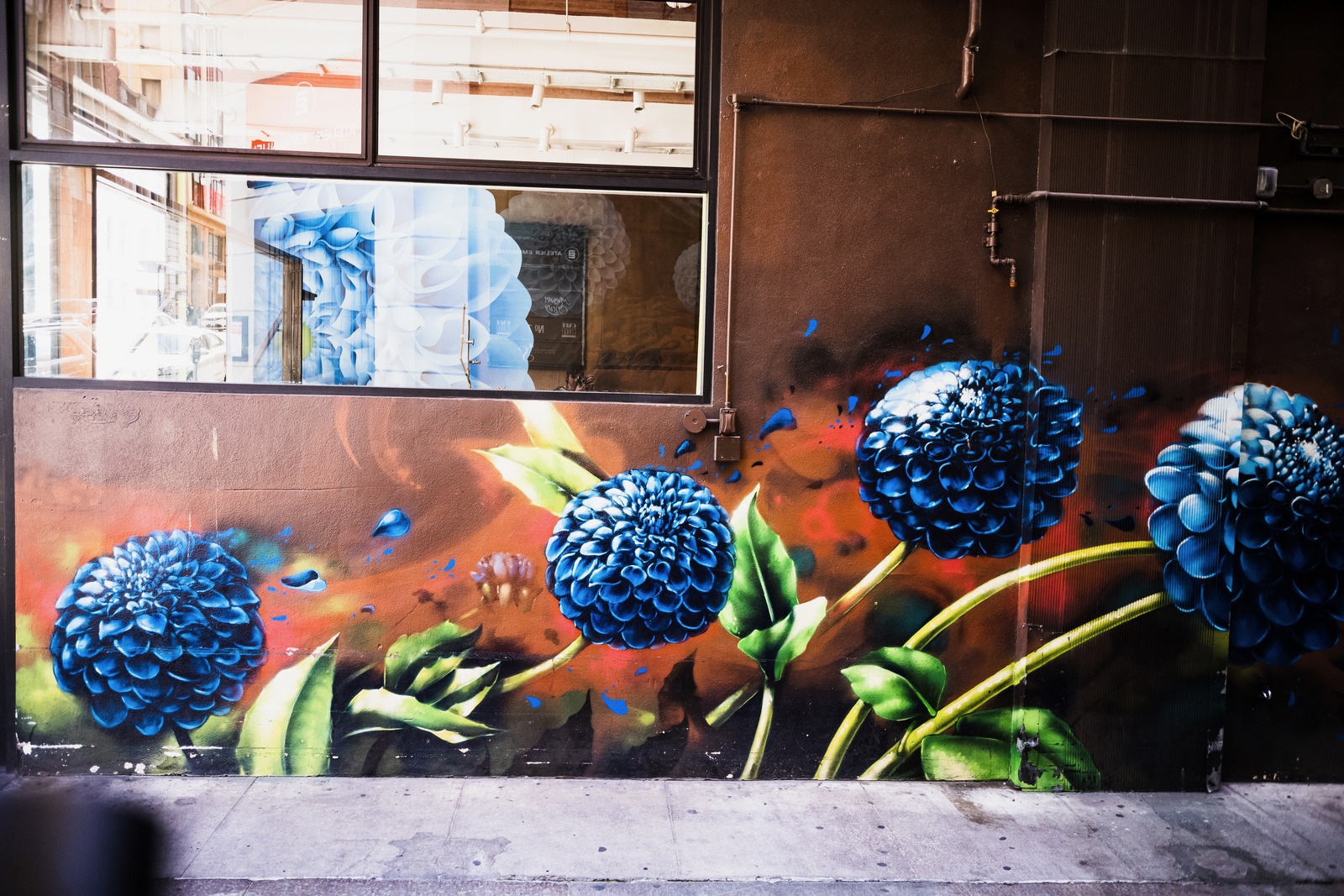 Urban Floral Beauty