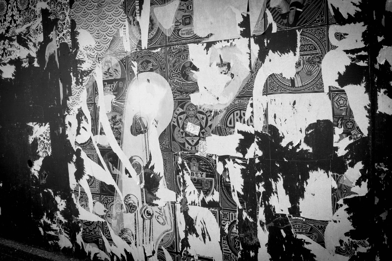 Urban Decay