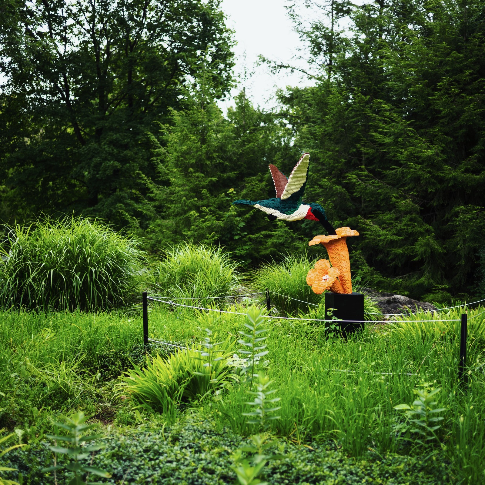Whimsical Nature