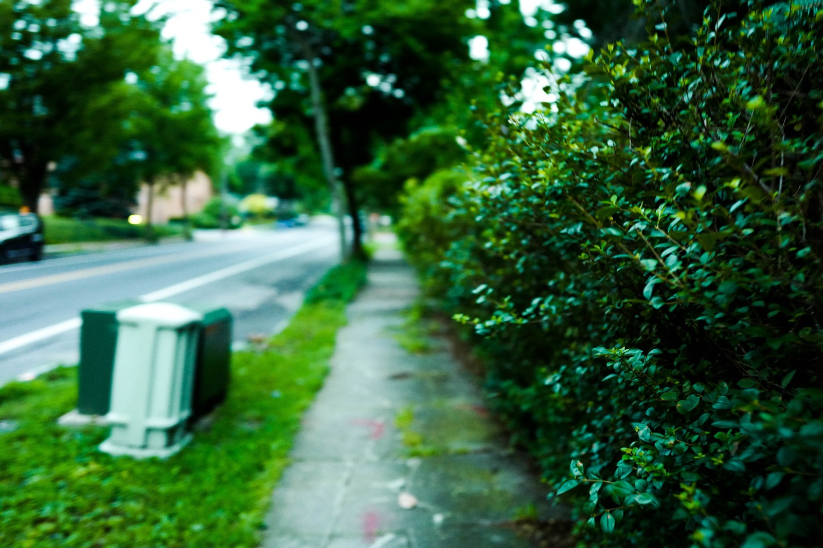 Muffled Pathway