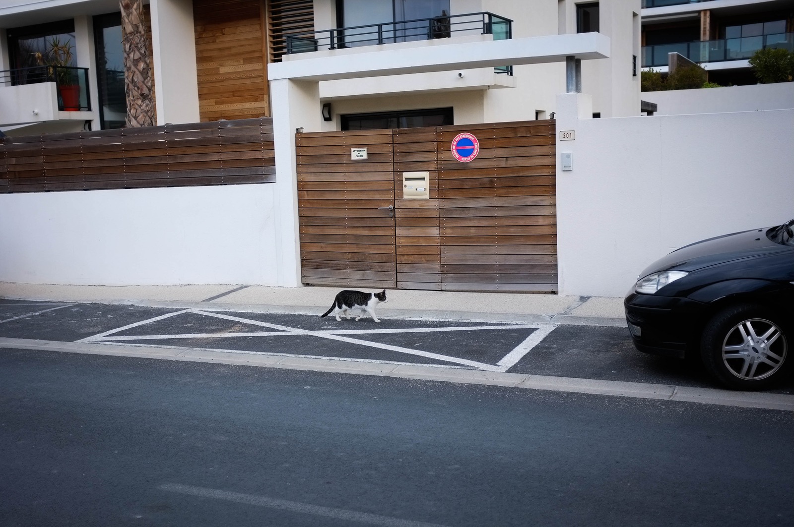 Quiet Urban Stroll