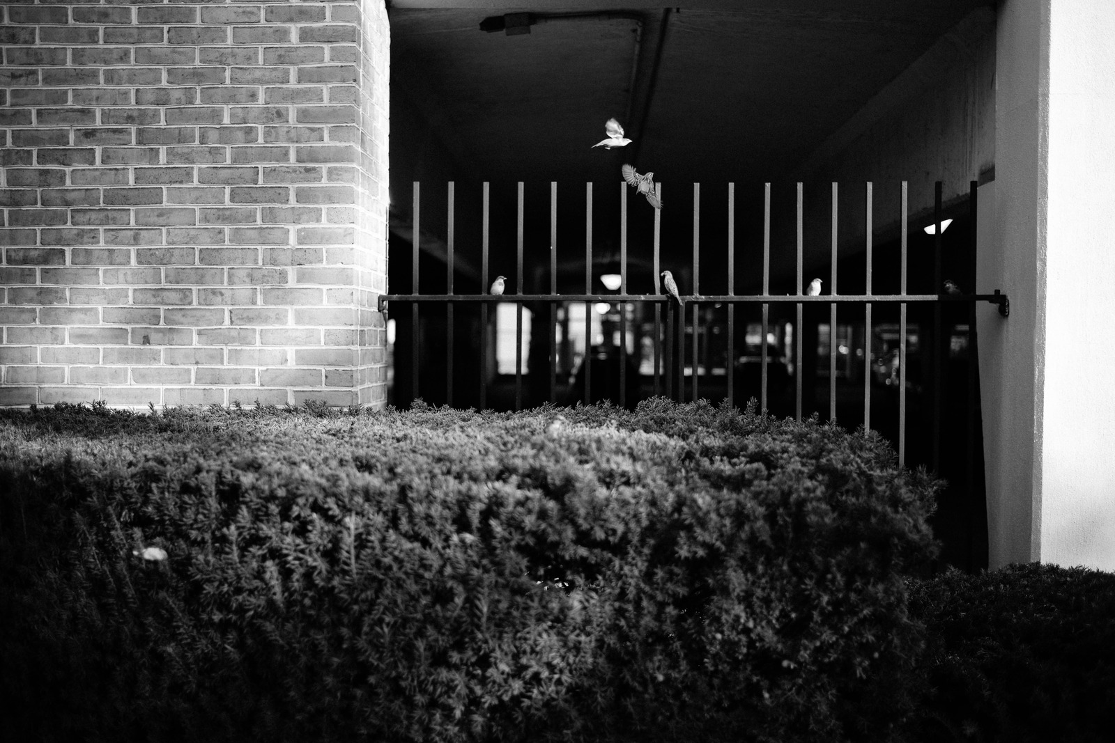Urban Escape