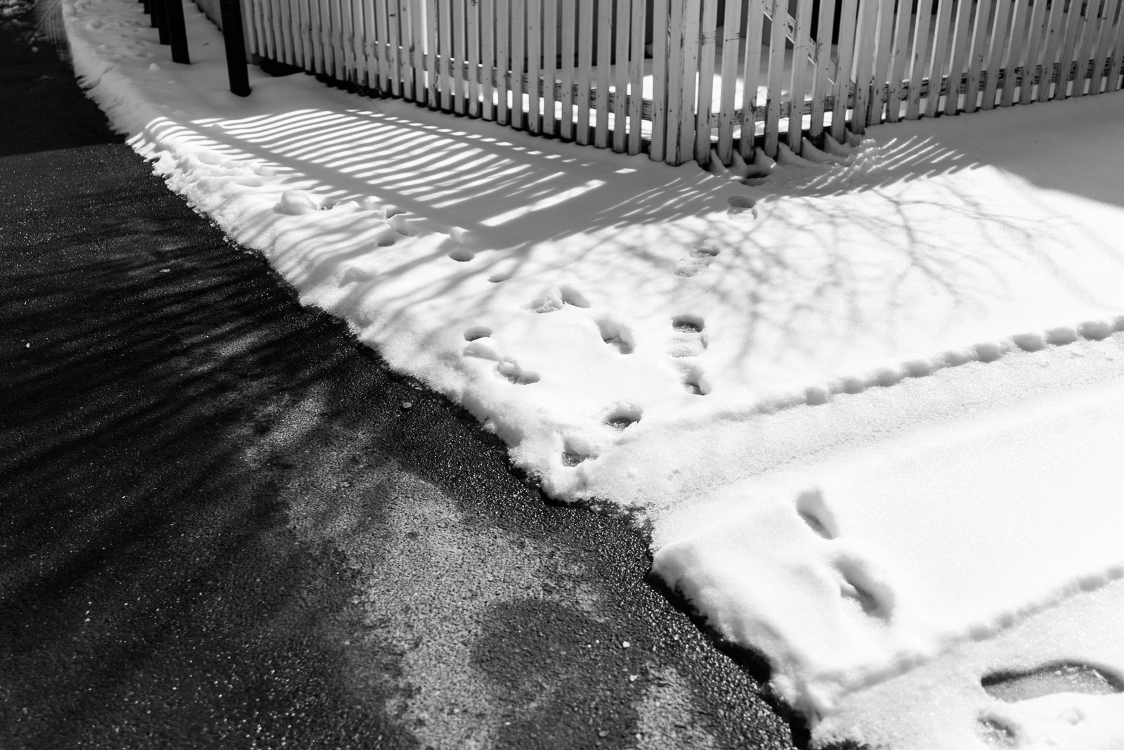 Whispers of Winter