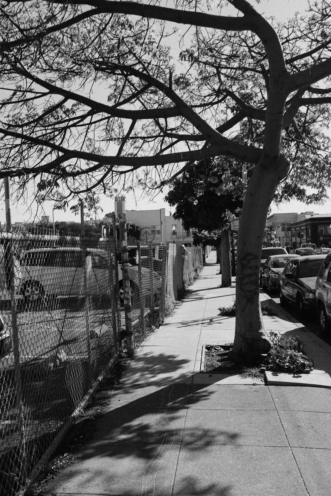 Urban Shadows