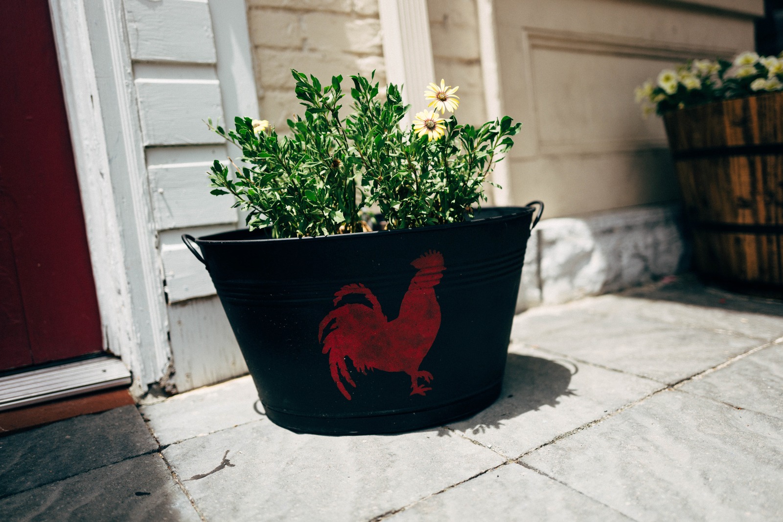 Vibrant Urban Flora