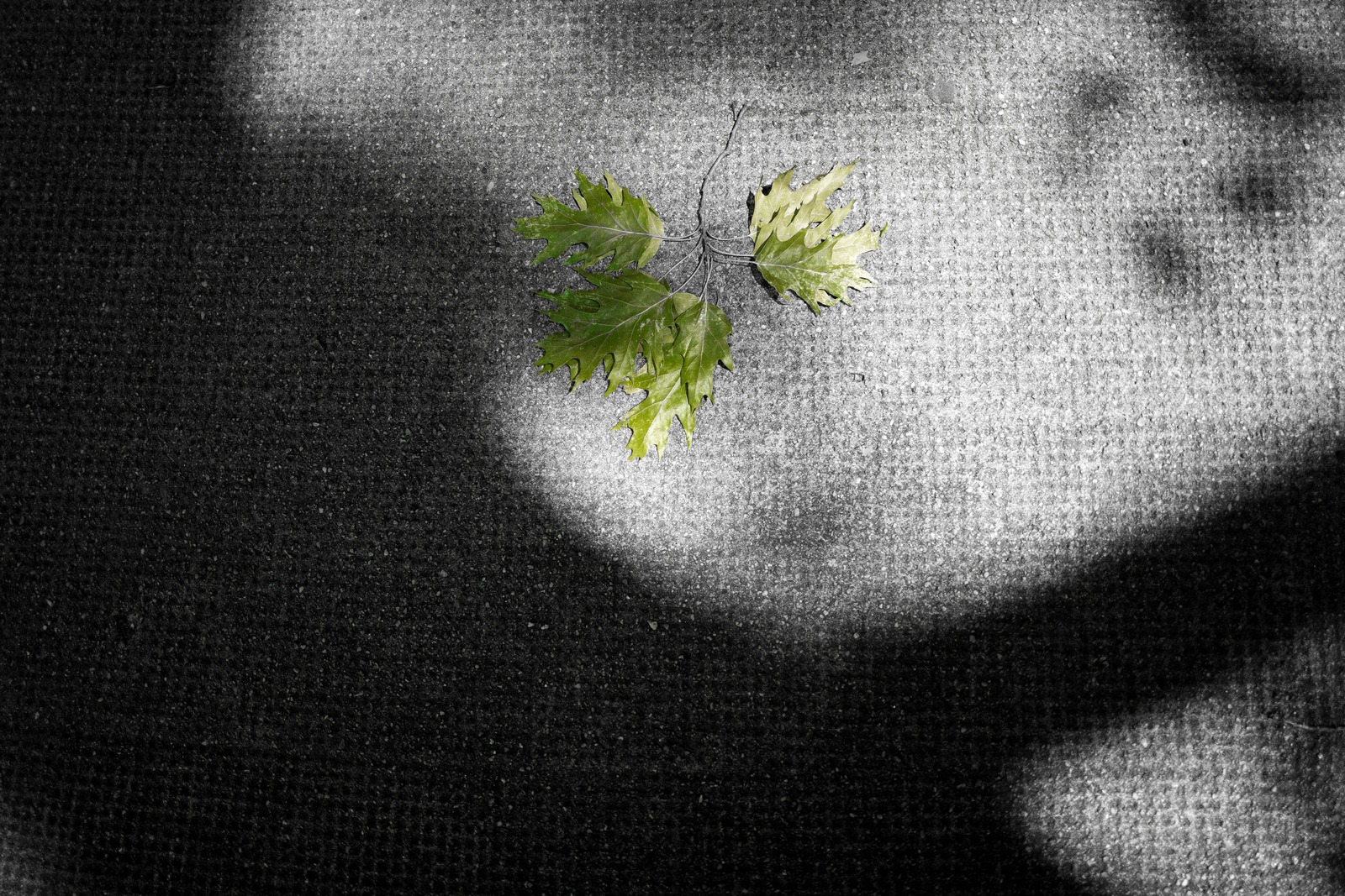 Resilient Green