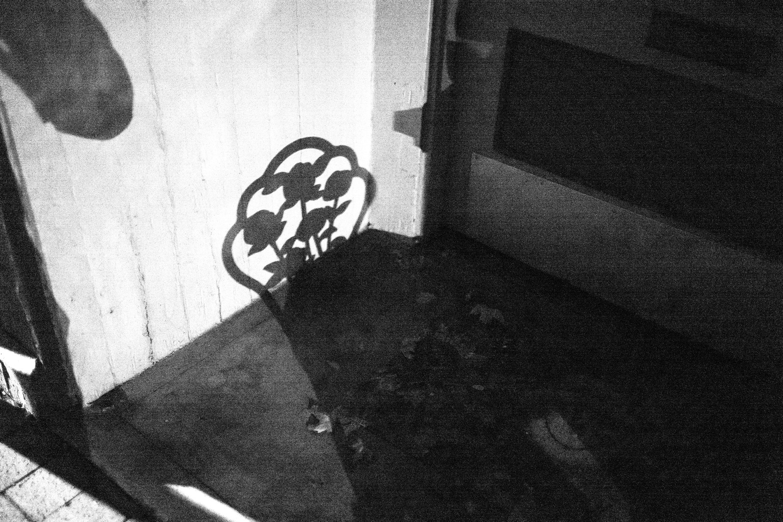 Whispers of Shadow