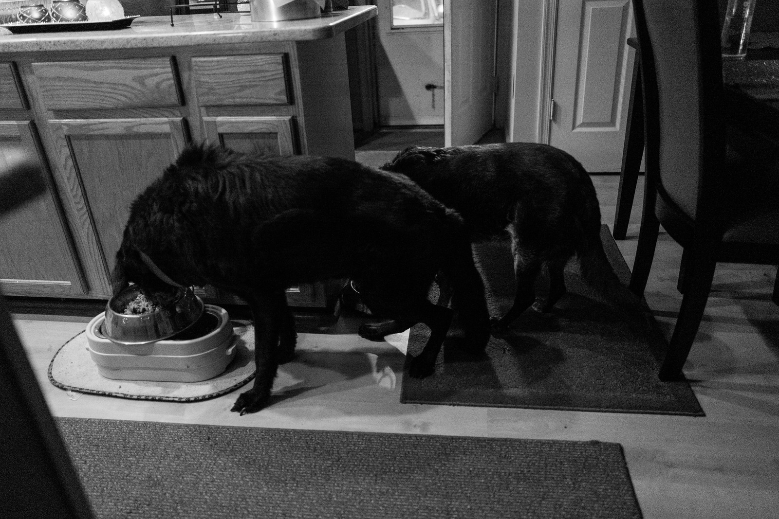 Late Night Feast