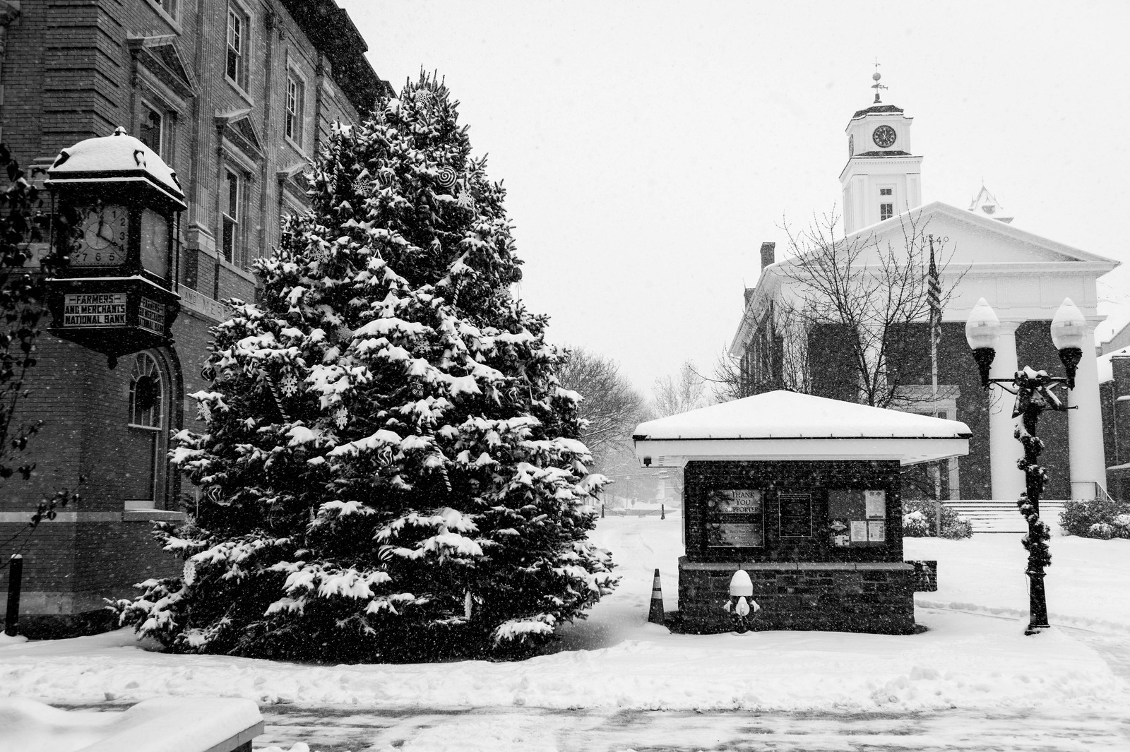 Silent Winter Scene