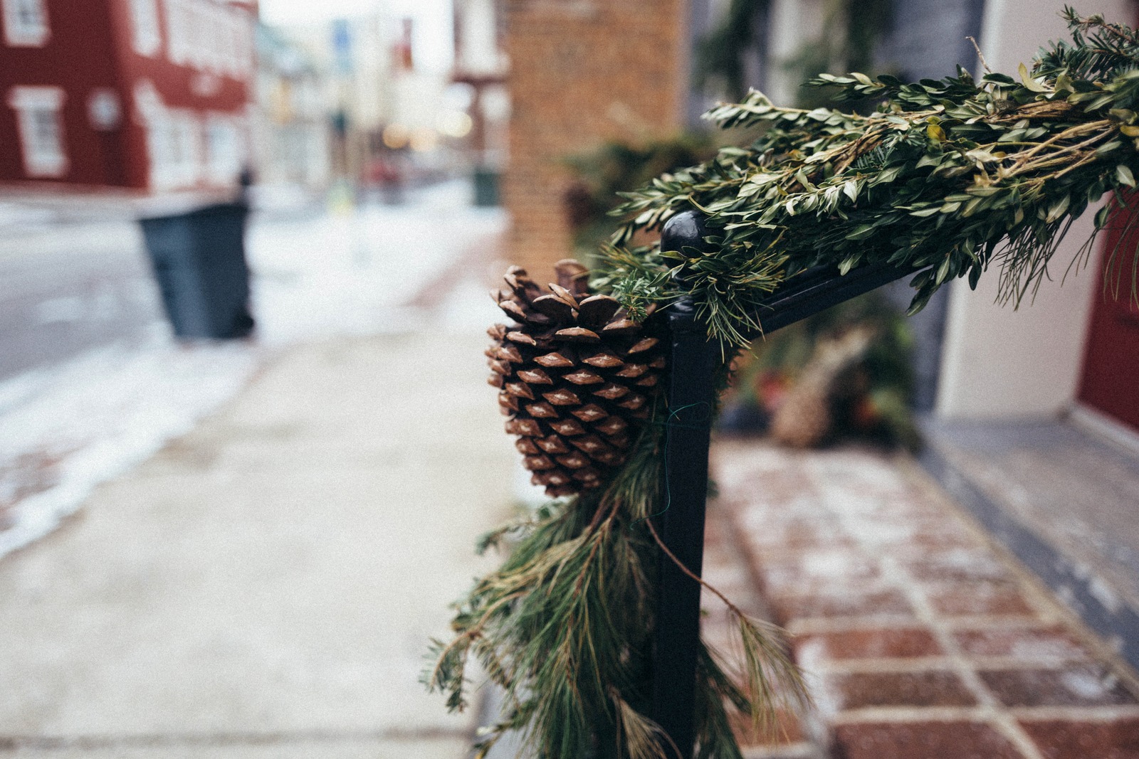 Winter's Embrace