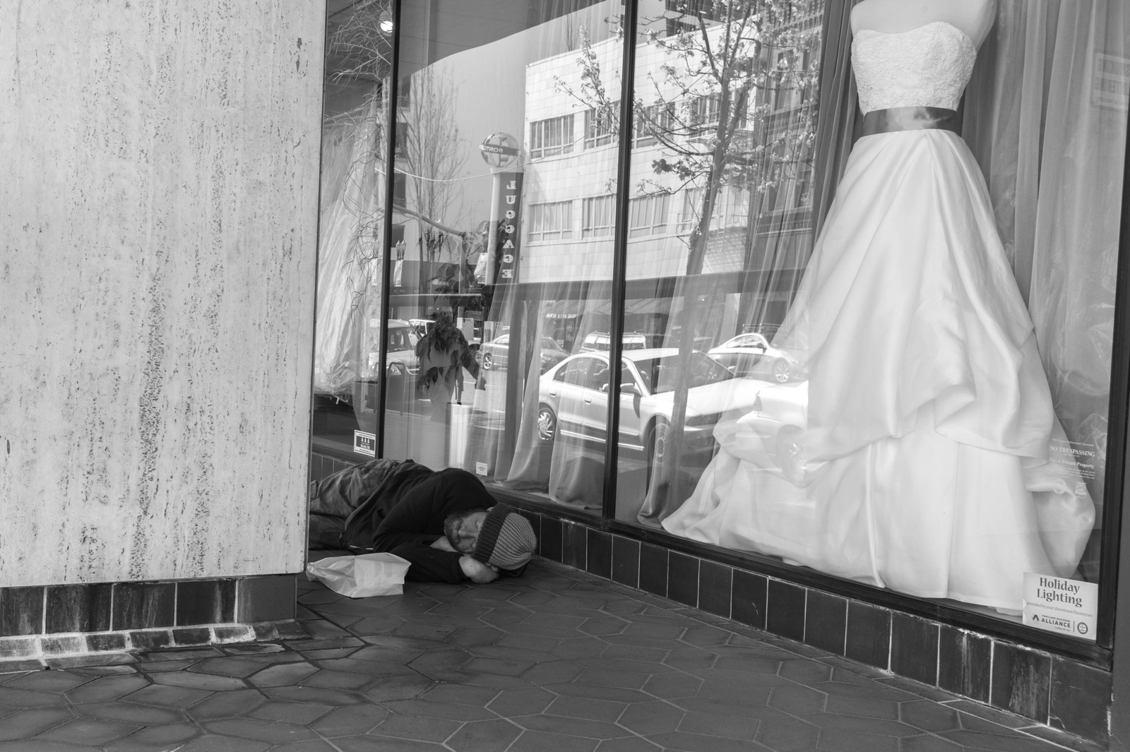 Contrasting Lives