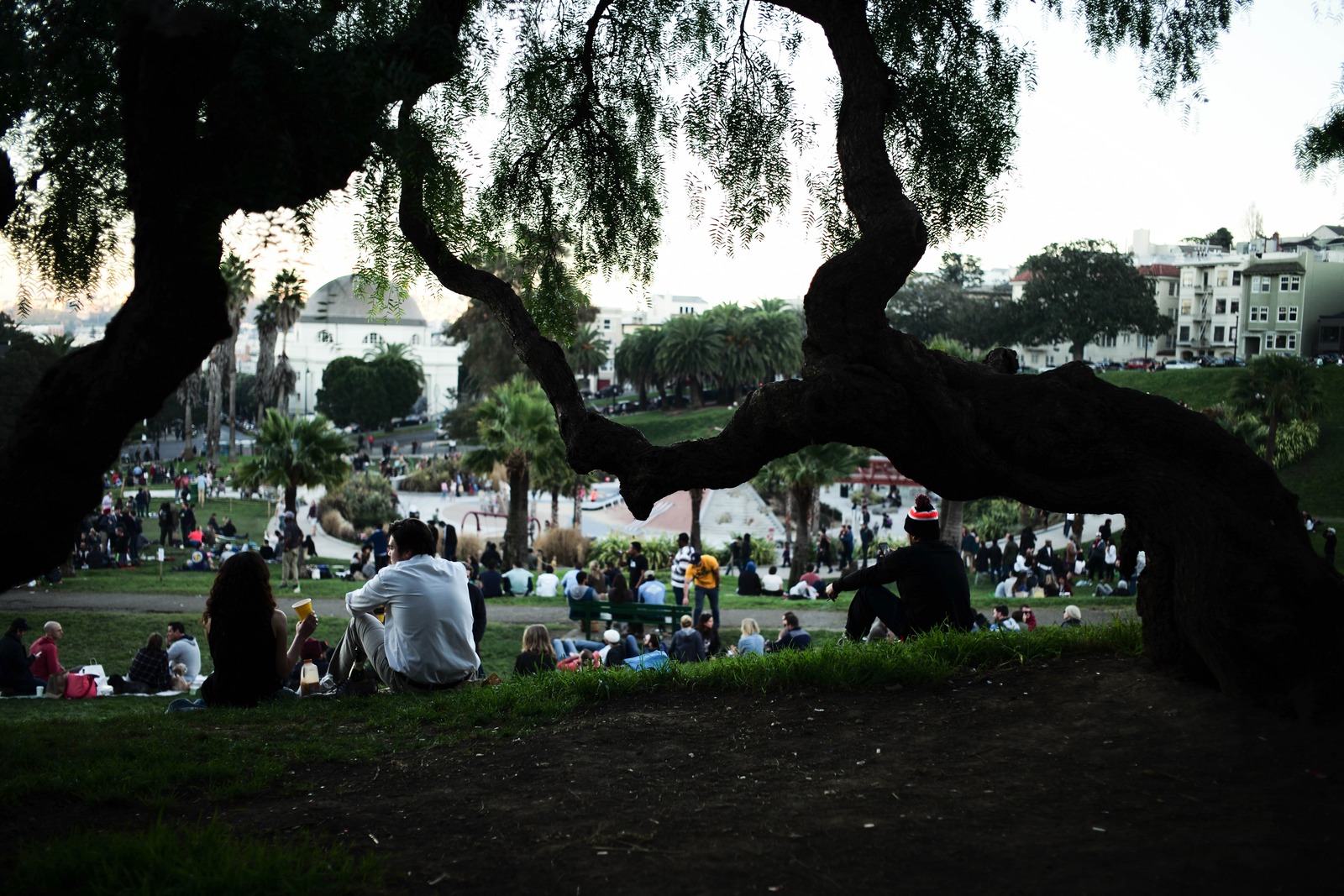 Moments in the Park
