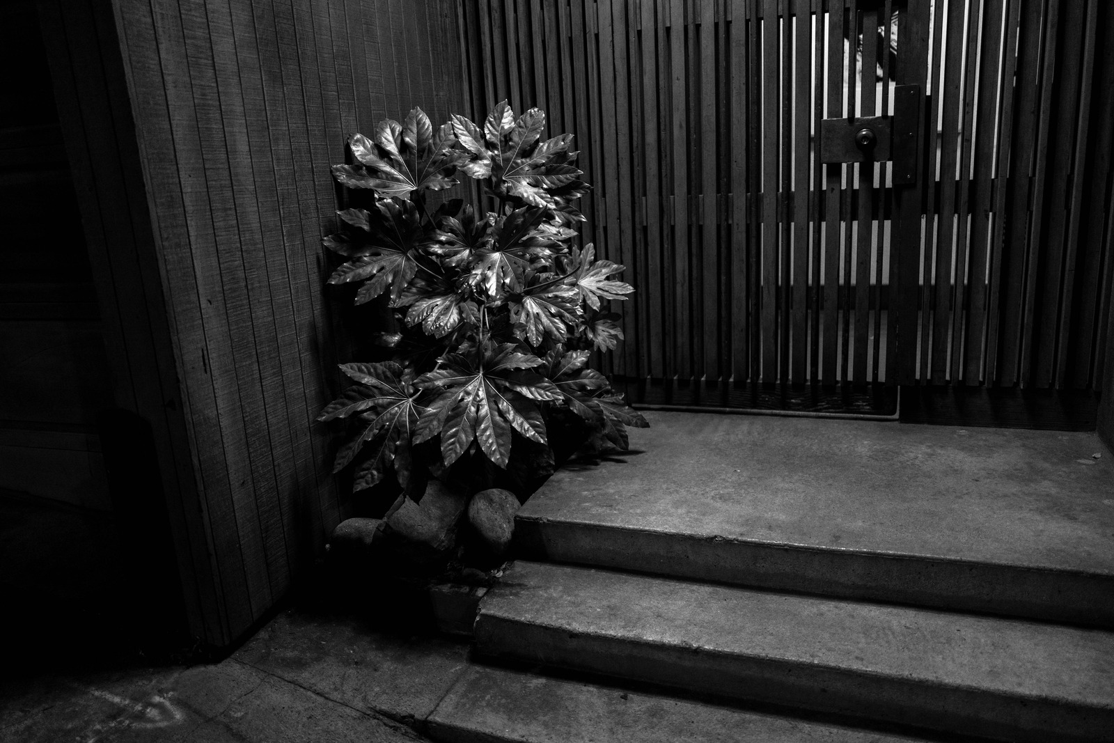 Silent Entrance