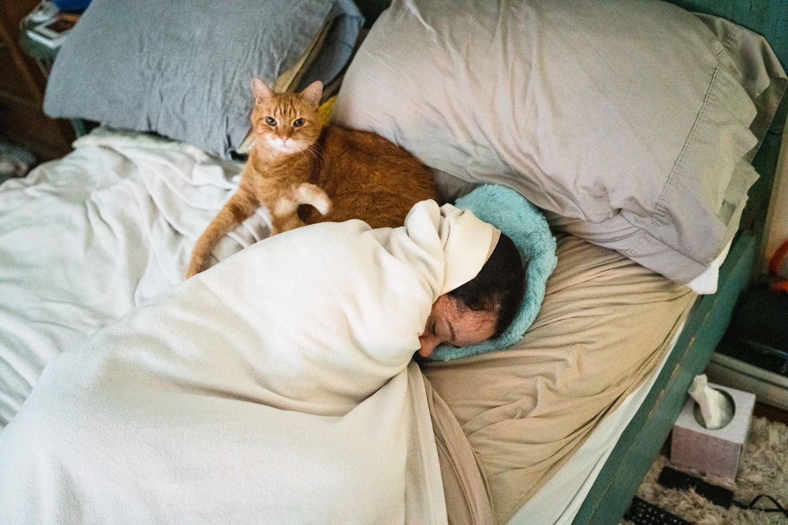Cozy Morning Nest