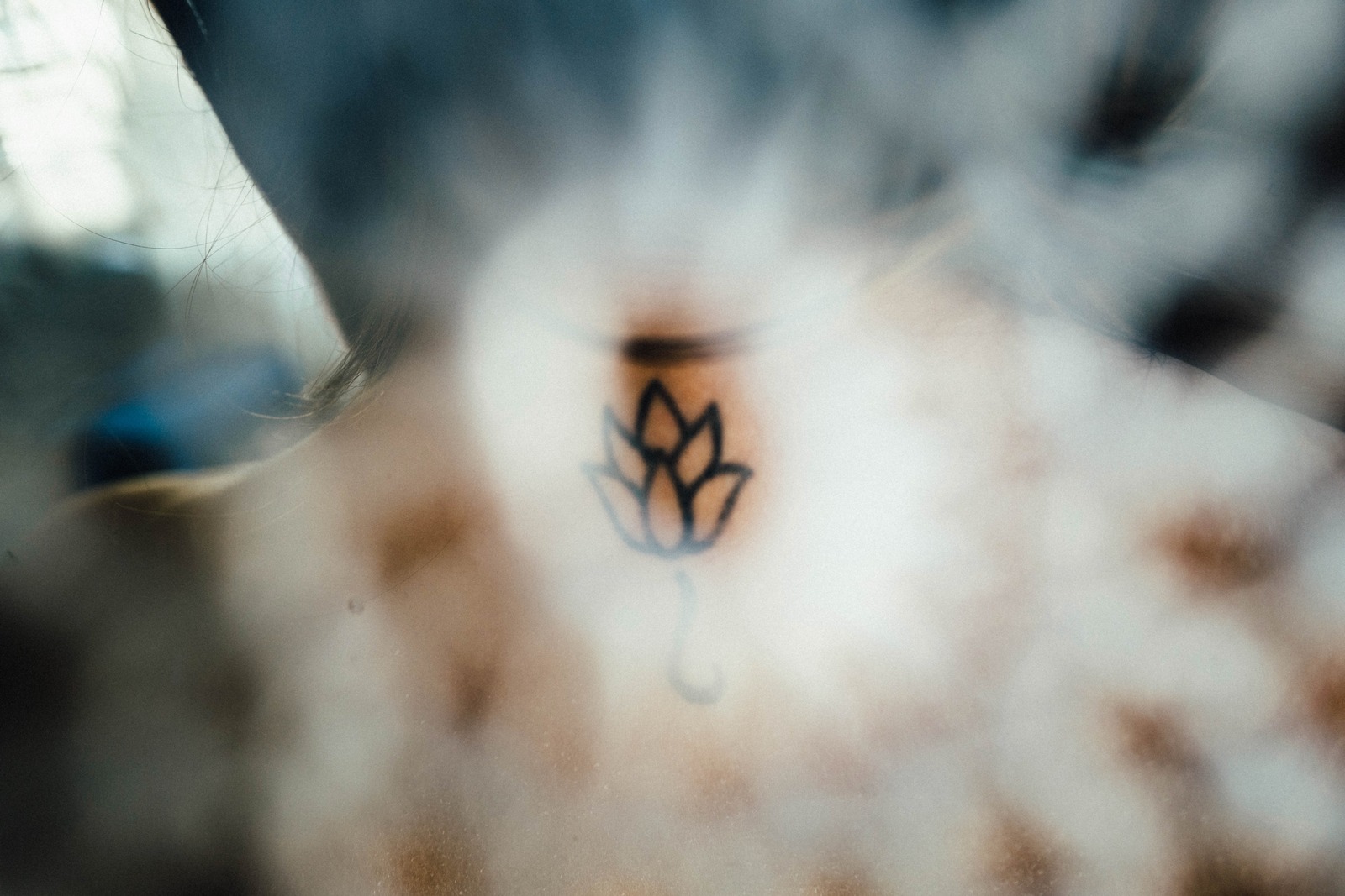 Lotus in Soft Focus