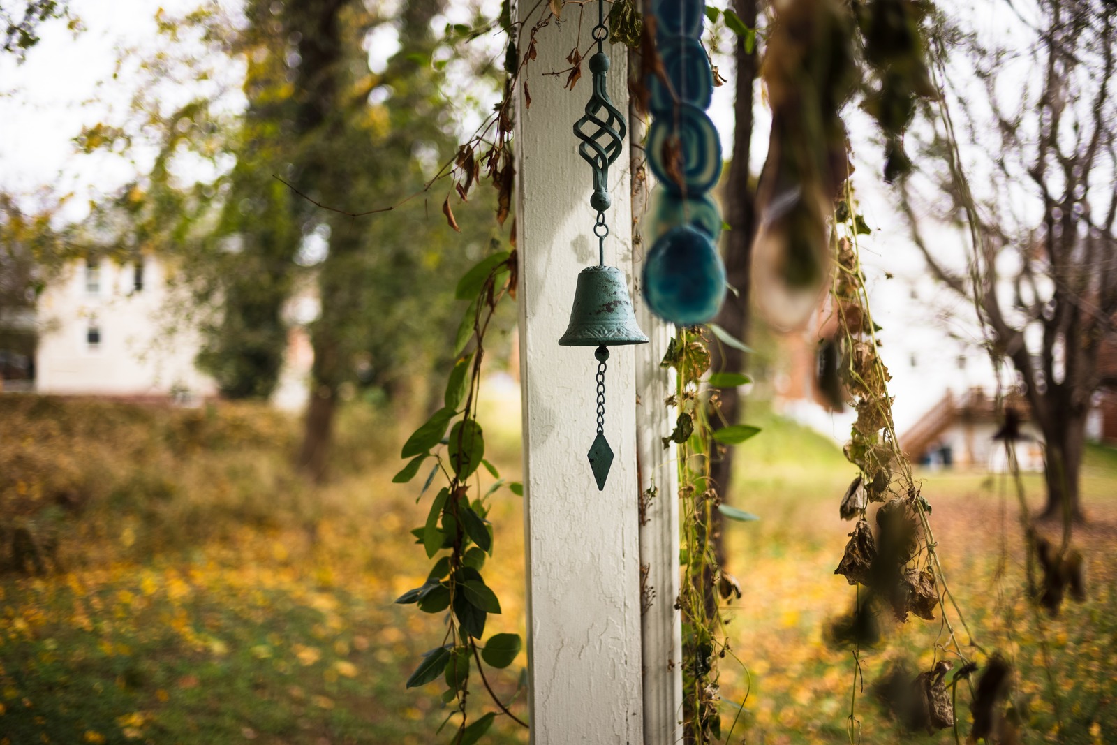 Whispers of Autumn