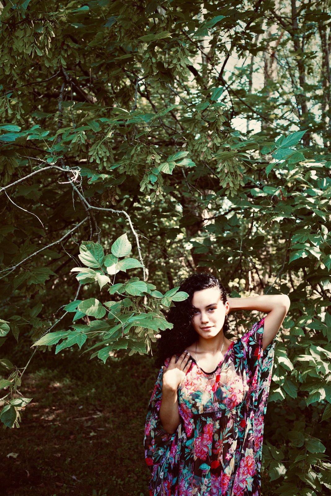 Whispers of Nature