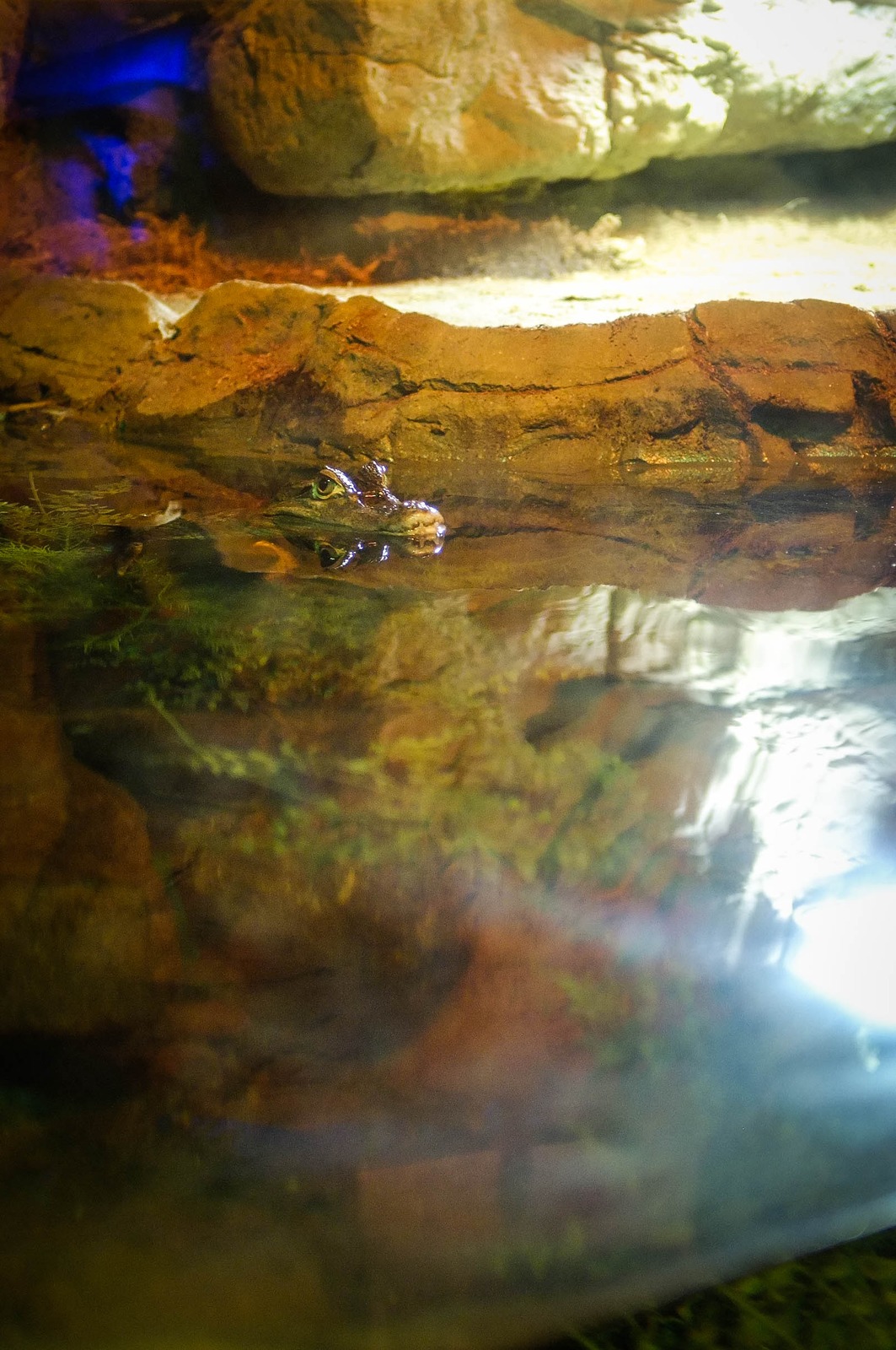Beneath the Surface