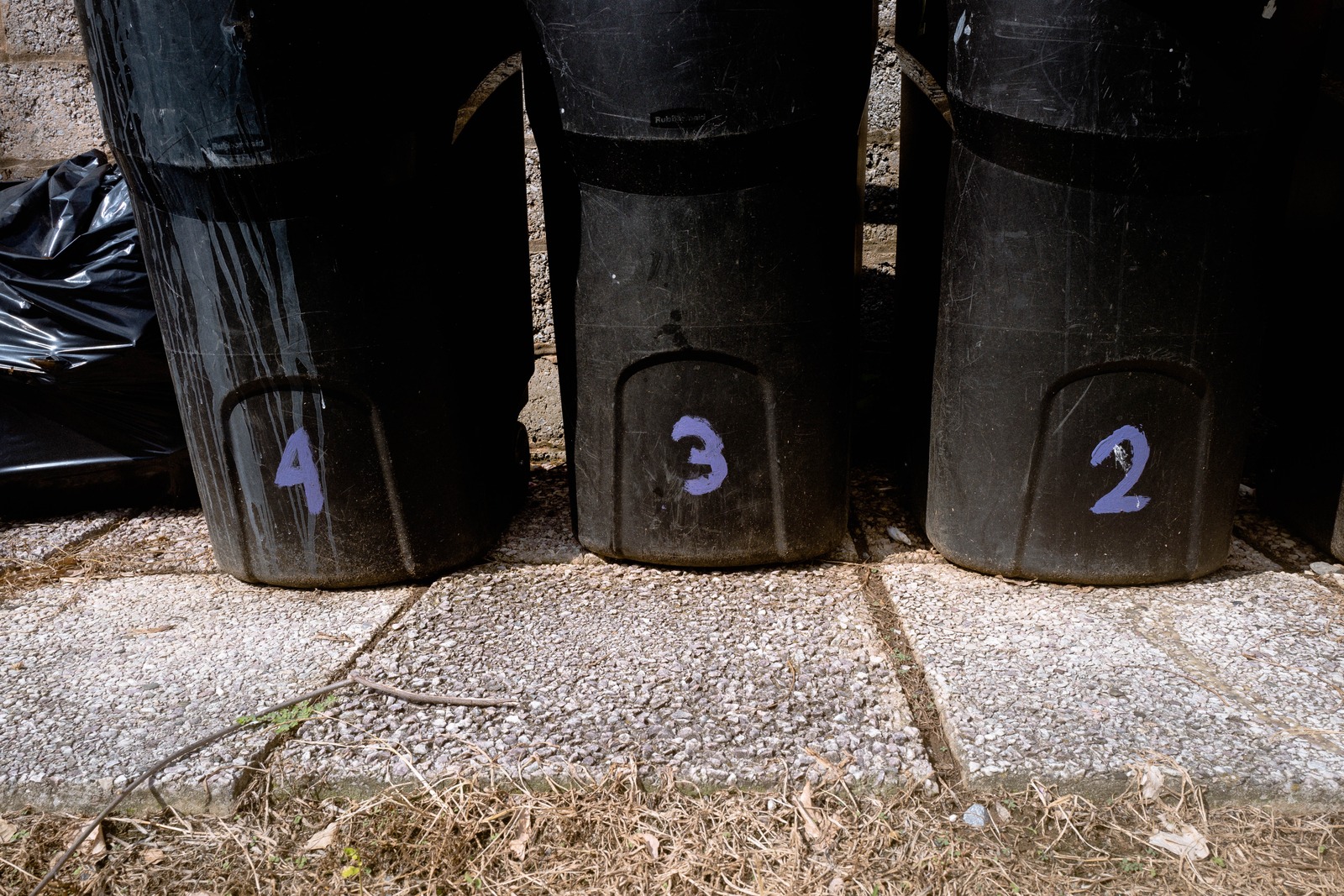 Numbers and Shadows