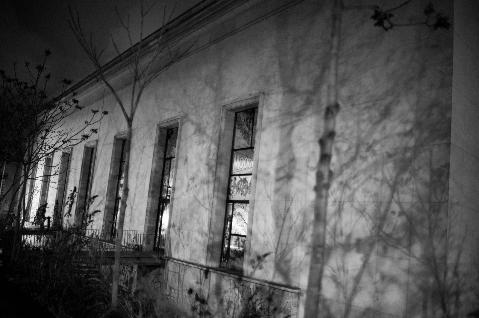 Whispers of Night