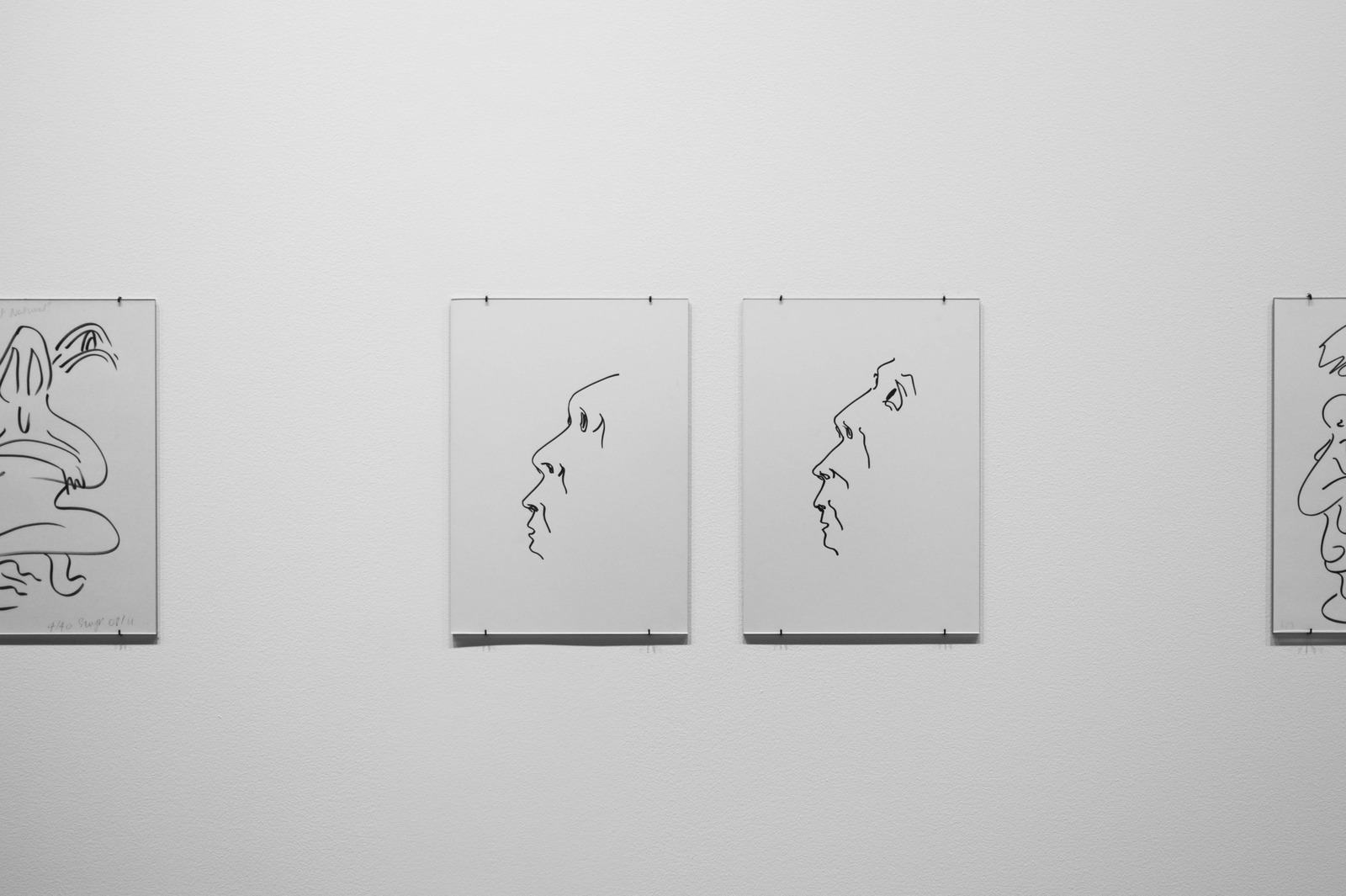 Lines of Expression