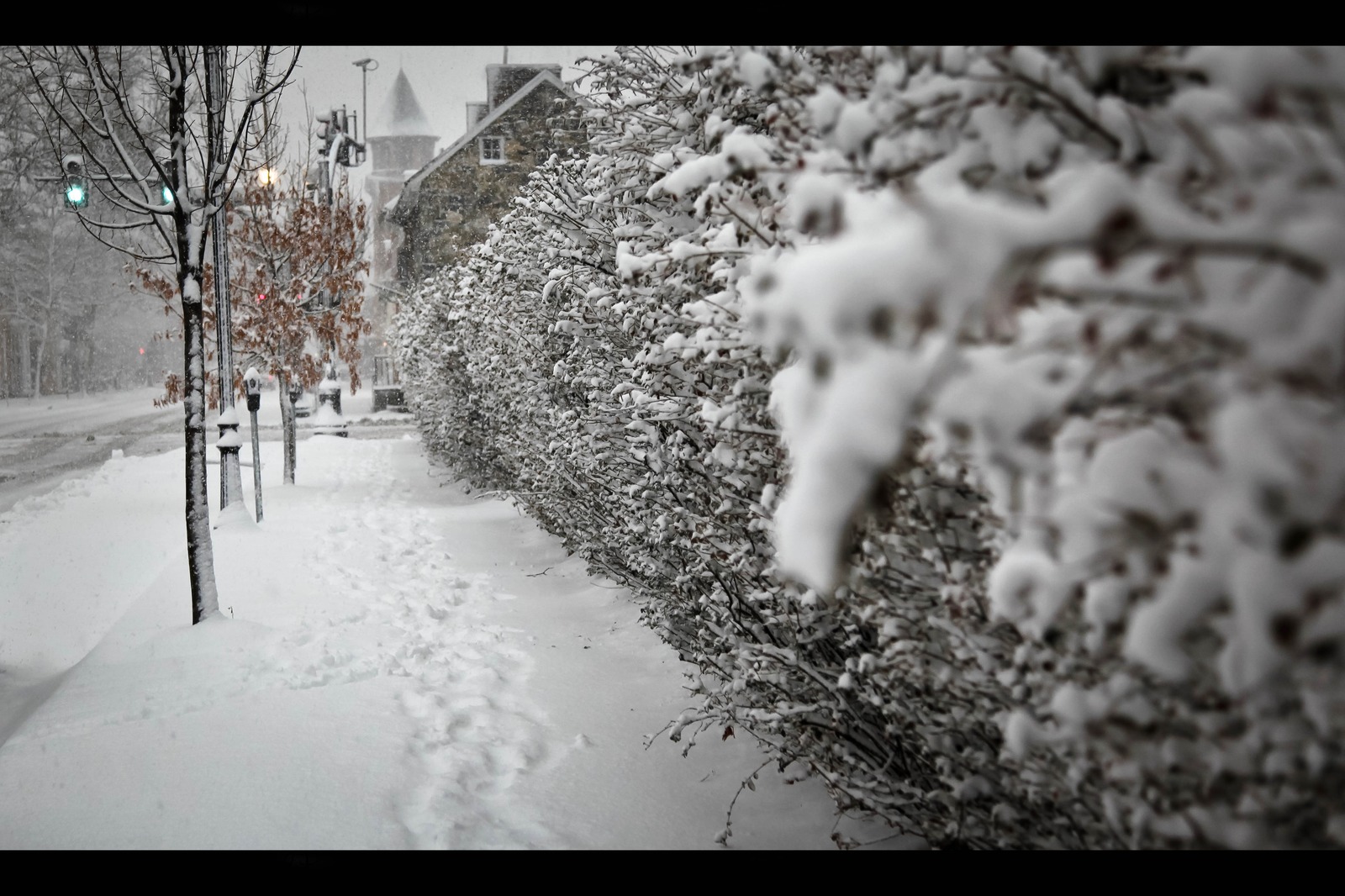 Silent Winter Veil