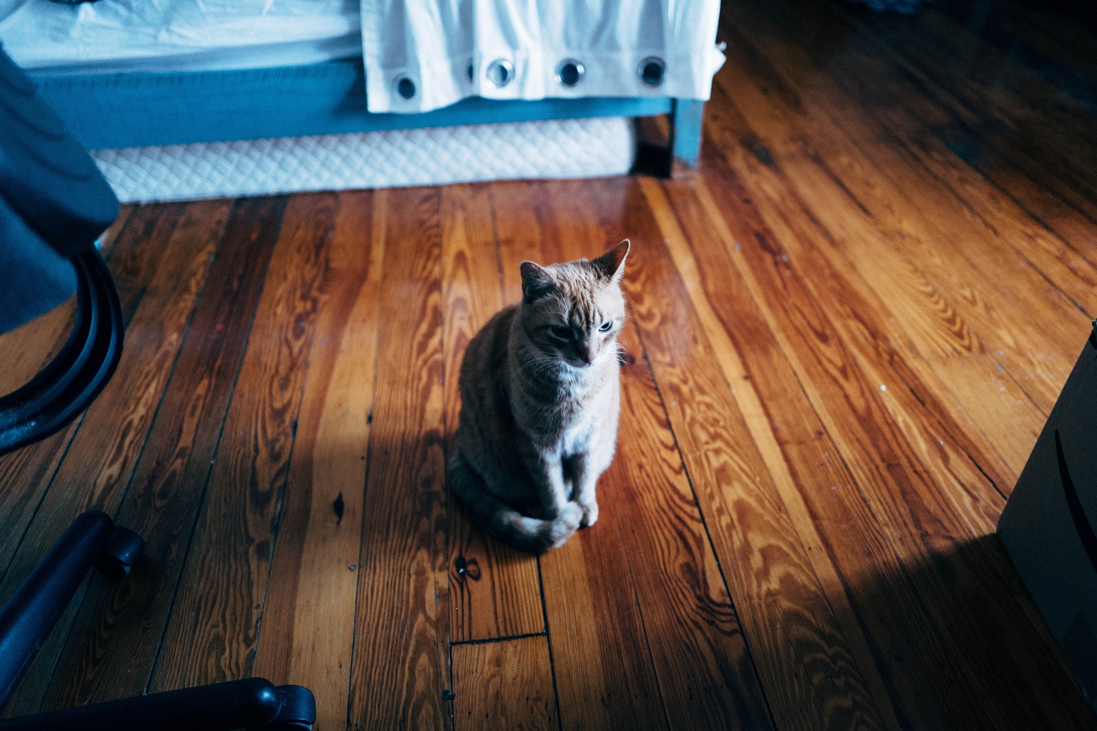Quiet Watcher
