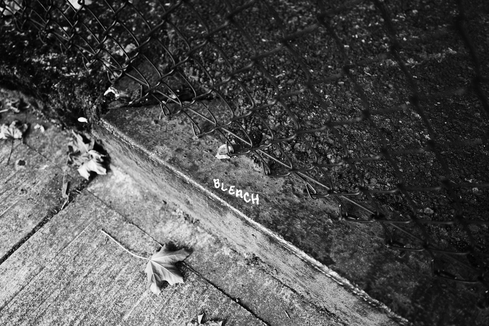 Urban Echoes