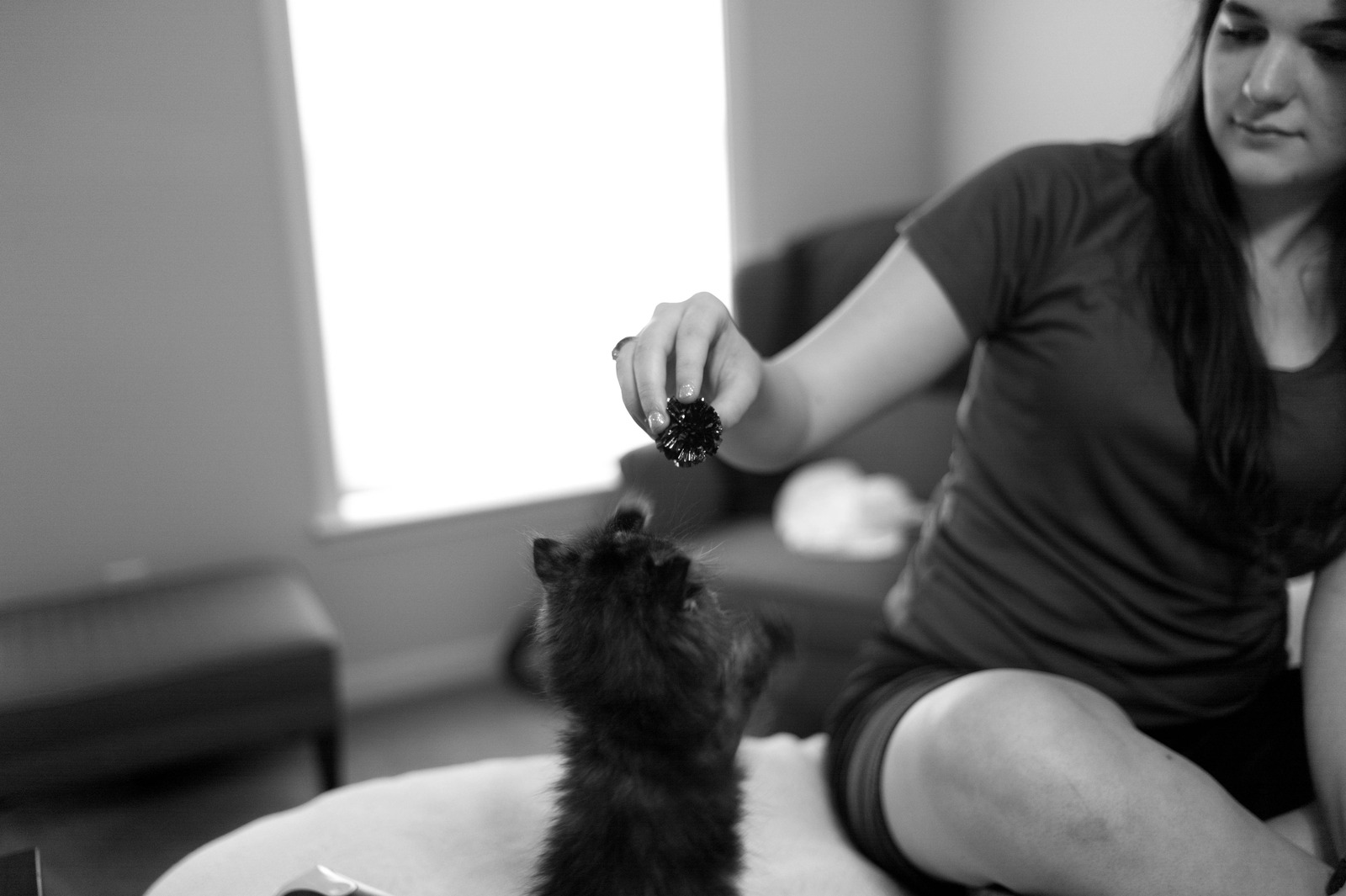 Playful Moments