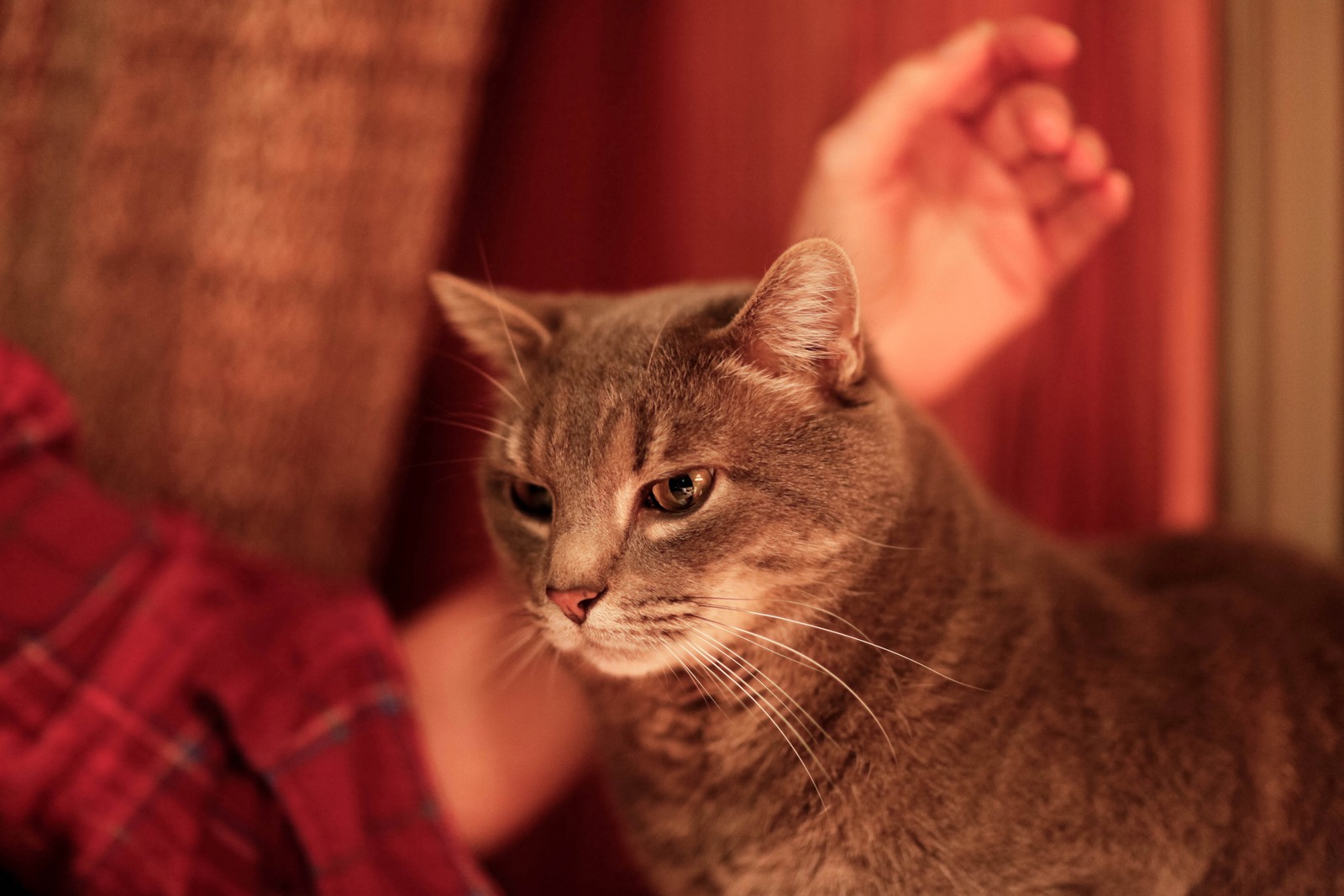 Quiet Companionship