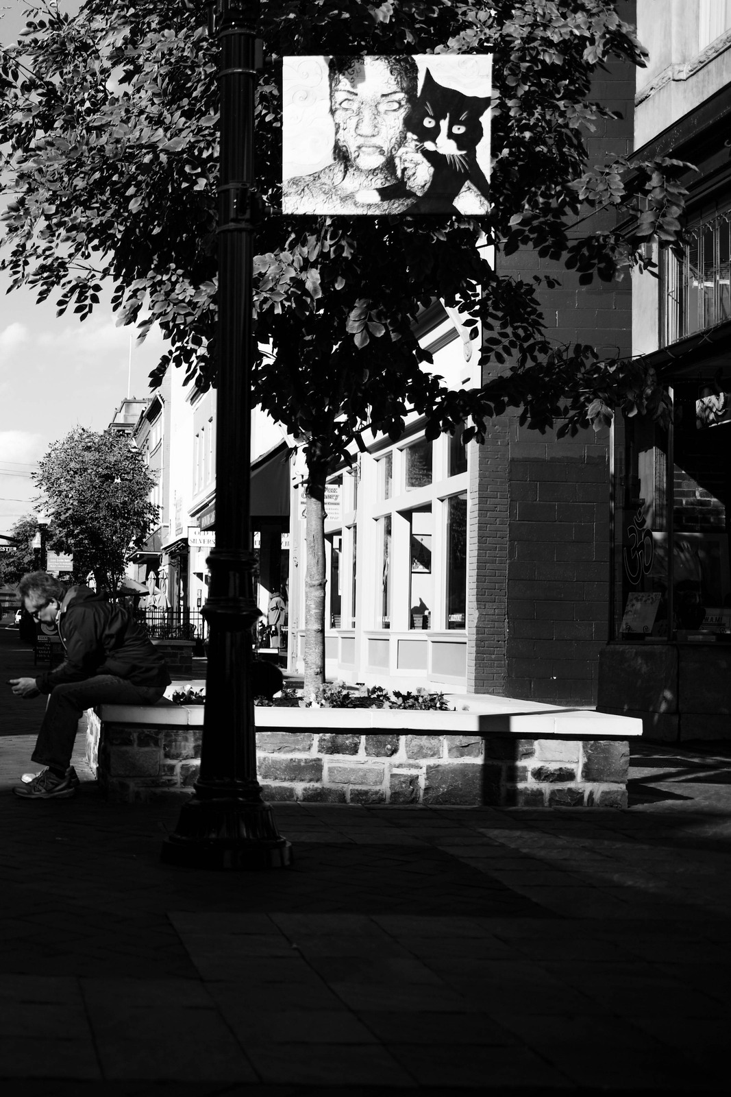 Urban Reflection