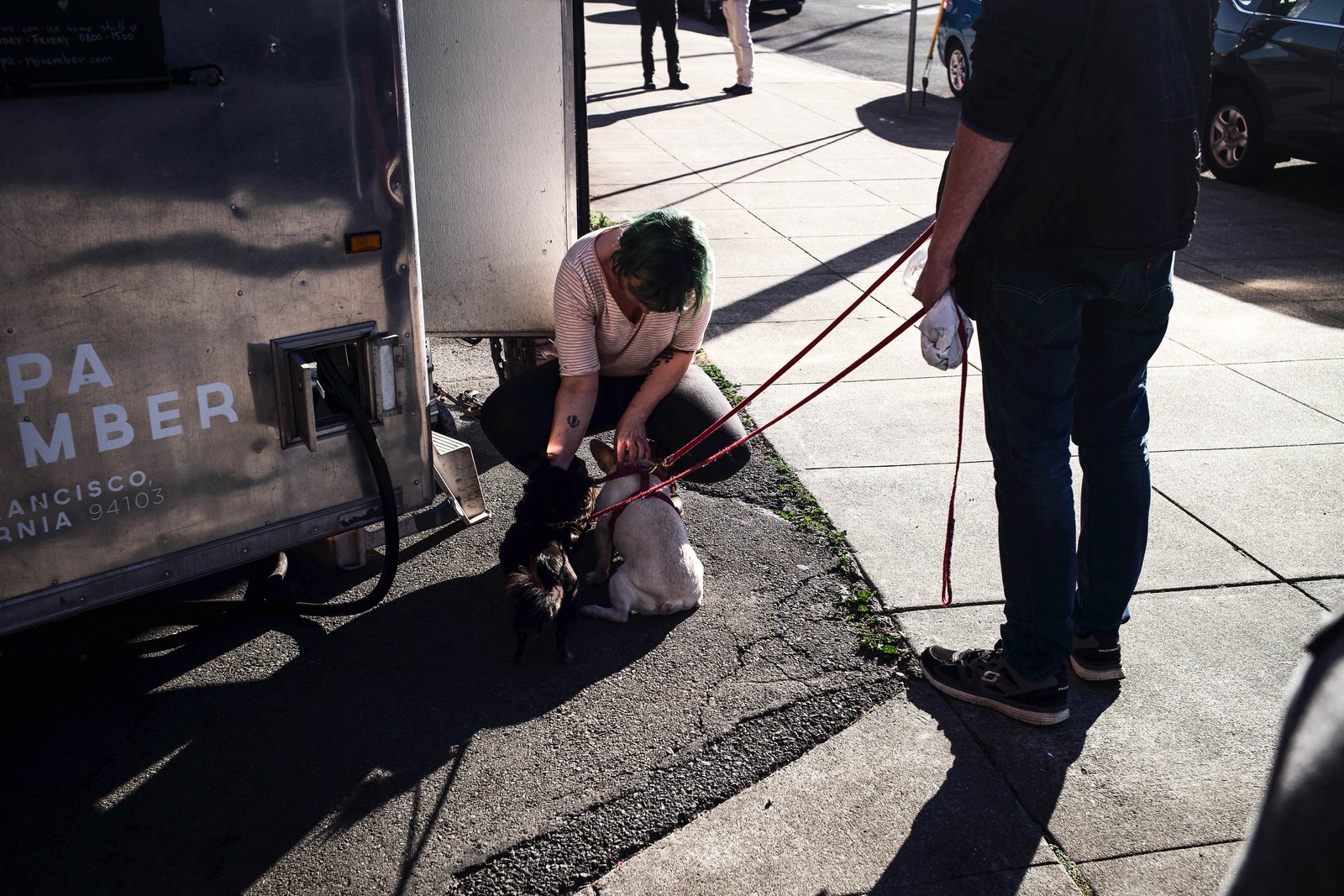Urban Pet Connections