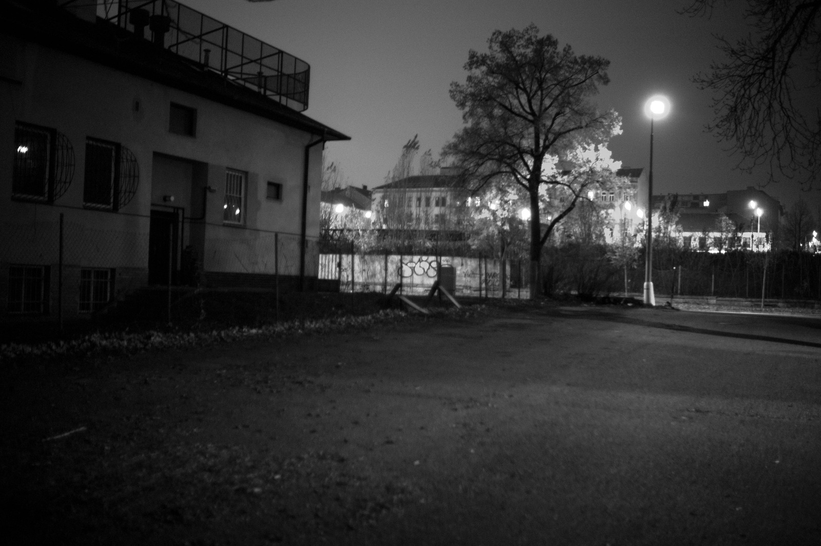 Silent Nightscape