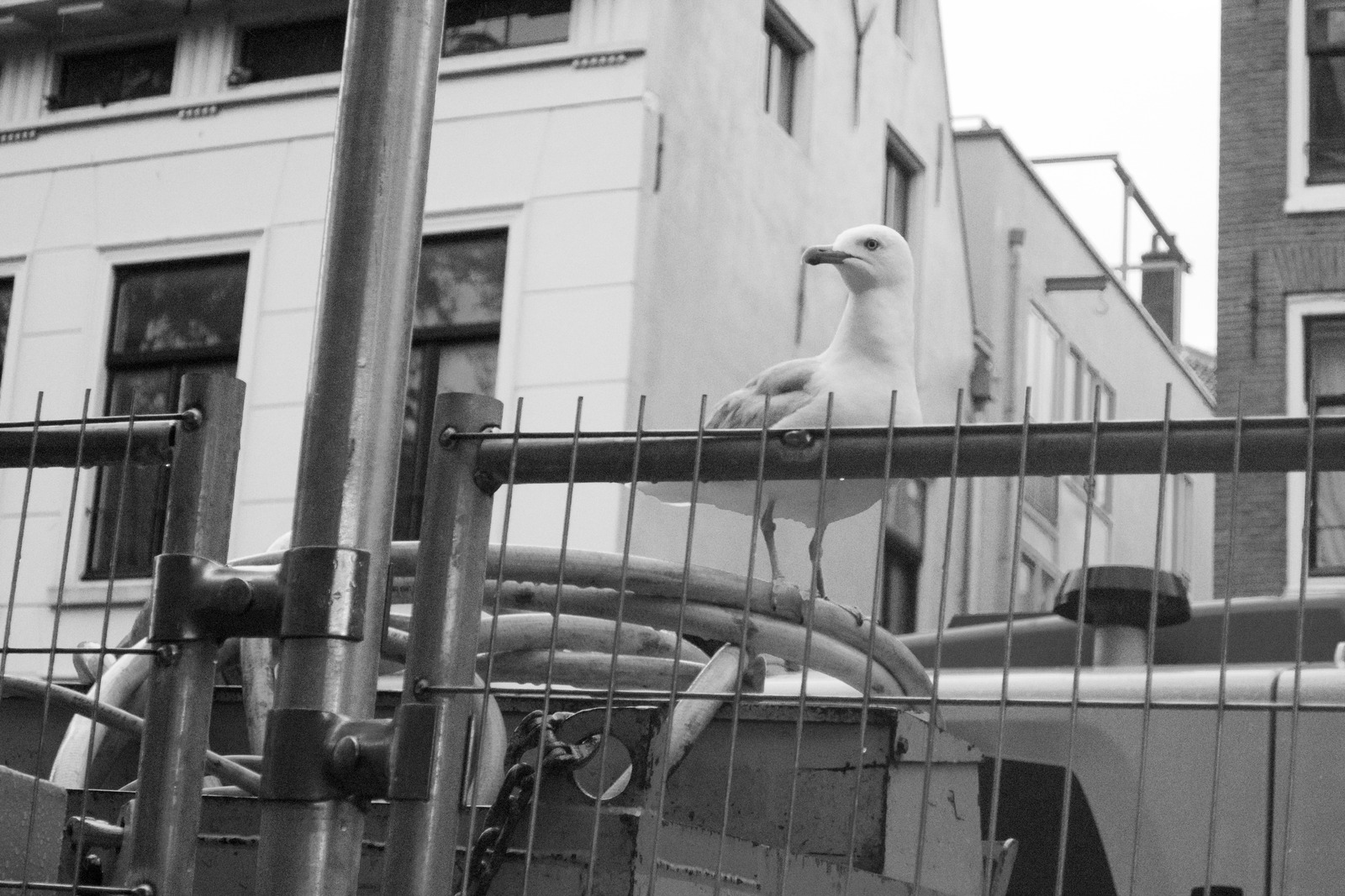 Urban Watcher
